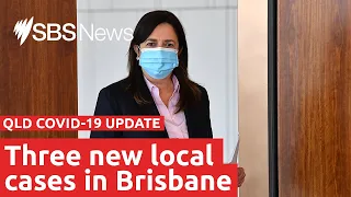 Watch live: QLD COVID-19 update | SBS News