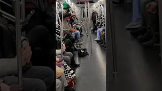 New York Subway Train Violin Master