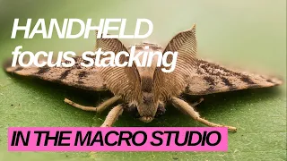 Tutorial: Handheld focus stacking in the Macro studio