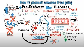 How to Prevent prediabetes - STOP Prediabetes Going Into Diabetes