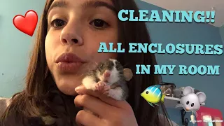 CLEANING ALL MY ENCLOSURES IN MY ROOM!!