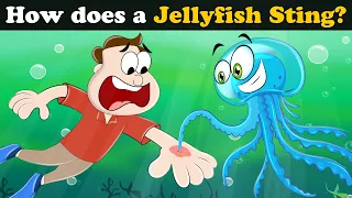 How does a Jellyfish Sting? + more videos | #aumsum #kids #science #education #whatif