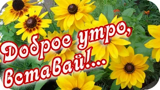 Утро Доброе, вставай! ❤️Желаю доброго и прекрасного утра! ❤️Позитивное пожелание!❤️Good morning!❤️