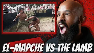 The LAMB VS El-Mapche