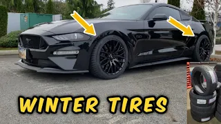 New SNOW TIRES For My 2019 MUSTANG GT **PRICE & SIZE**