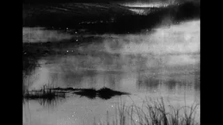 Earth (1930) by Alexander Dovzhenko, Clip: A new dawn - dawns (!) and the mysterious marshlands...