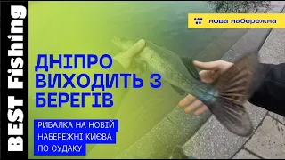 ДНІПРО ВИХОДИТЬ З БЕРЕГІВ! РИБАЛКА НА НОВІЙ НАБЕРЕЖНІ КИЄВА! РИБАЛКА НА СУДАКА #риболовлякиїв