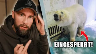 EISBÄR in einem Hotel!? - Das kann nicht wahr sein... | Robert Marc Lehmann