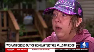 Woman forced out of home after tree falls on roof