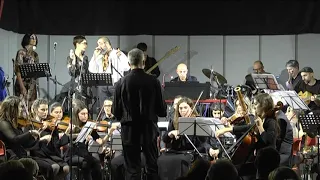 MUSICA MAESTRO! CAM ORCHESTRA - "Je t'aime moi non plus"