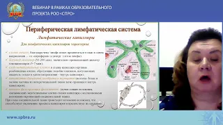 ВЕБИНАР «СИНДРОМ ПОДМЫШЕЧНОЙ ЛИМФОАДЕНОПАТИИ»