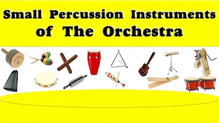 The Orchestra   Small Percussion Instruments Of The Orchestra