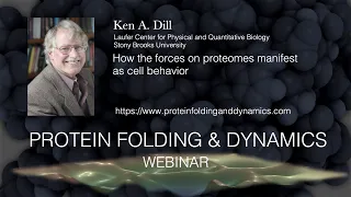 Ken Dill, 1.6.20- How the forces on proteomes manifest as cell behavior