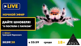 Ночной АРХЭфир "В постели с пауком" в рубрике "Дайте Шнобеля!" [18+]