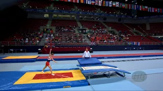 ATKINS Benjamin (GBR) - 2017 Trampoline Worlds, Sofia (BUL) - Qualification Double Mini Routine 2