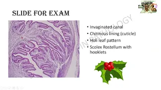 Cysticercosis | GAME 41 | Pathology | Infections | Practicals | Spotter | Microscopy | MBBS | Dr GSS