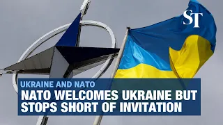 'Ukraine's future is in Nato' - summit declaration