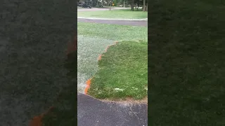 Setting Lawn on Fire to clean it?