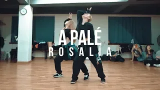 [4CW] ROSALIA - A Pale │Choreography by AMY x Funky-Y)