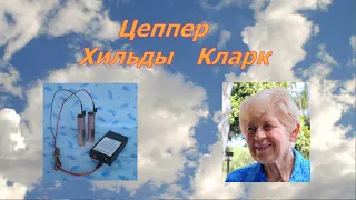 Цеппер (Zapper) - Антипаразитарный прибор  Хильды Кларк