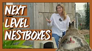 How To Build Chicken Nesting Boxes That Your Hens Will Love
