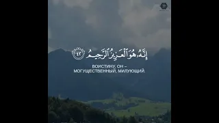 Сура: Ад-Духан [40-49] Послушайте! До слёз, очень  красивое чтение Корана