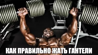 Как накачать БОЛЬШИЕ ГРУДНЫЕ МЫШЦЫ - СЕКРЕТЫ от IFBB PRO