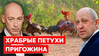 Гордон: Пригожин не доживет до суда – его прихлопнут свои