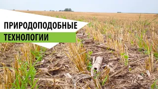 Агробиотехнологии (природоподобные технологии) Александр Харченко, Оренбург 2021