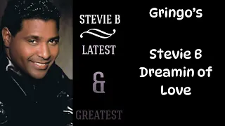 Stevie B   Dreamin of Love