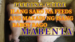 ilang sako na feeds ang maubos ng isang baboy bago mabenta at ilang kilo dapat pakain bawat stage