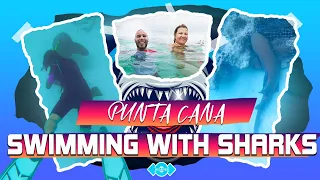 Swim with Sharks | Punta Cana  Excursion - Dominican Republic | HERETHERETV - TRAVEL VIDEO BLOG