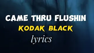 Kodak Black - Came Thru Flushin(Official Lyrics Video)