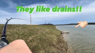 Drain Fishing For Big Bass After The Storm!