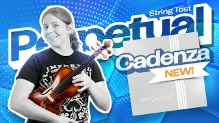 REVIEW: Pirastro Perpetual Cadenza Violin Strings