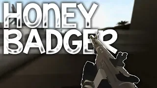 IS THE HONEY BADGER STILL GOOD? (phantom forces)