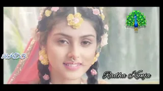 Sajani Sajani Radhika Lo/Radha Krishn/Star Bharat.