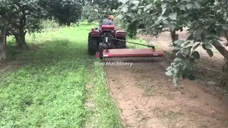 Using flail mower in an old pear orchard.#flailmower #lawnmower #mulcher