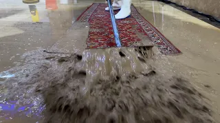 The hardest one! Great solution against heavy aged dirt-Carpet Cleaning Satisfying ASMR