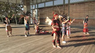 Houston Aztec Dancers keep centuries-old traditions alive