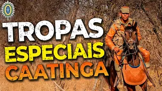 Combatentes de Caatinga