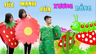 Cây Xương Rồng Tốt Bụng ♥ Minh Khoa TV