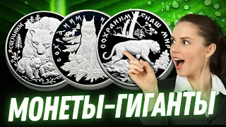 ✅ Ух ты! Это стоит увидеть! Серебряные монеты России из популярной серии «Сохраним наш мир».