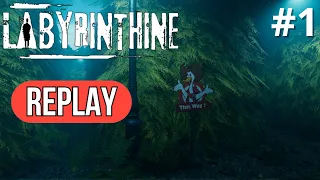 Exploration Terrifiante | Labyrinthine #1