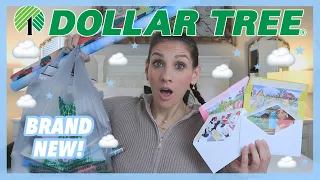 *WOW* DOLLAR TREE HAUL | BRAND NEW $1.25 FIND TO GRAB ASAP! | MY THREE WISHES...