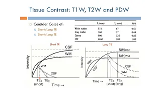 Short Topics in Magnetic Resonance Imaging: Tissue Contrast: T1, T2, and PD (Arabic Narration)