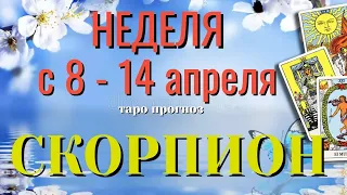 СКОРПИОН 🌷🌷🌷 НЕДЕЛЯ с 8 - 14 АПРЕЛЯ 2024 года Таро Прогноз ГОРОСКОП Angel Tarot