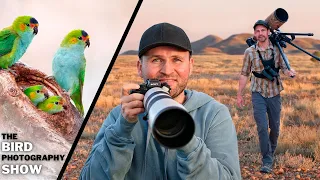 What Pros Keep QUIET! | The UNFILTERED TRUTH of Bird Photography