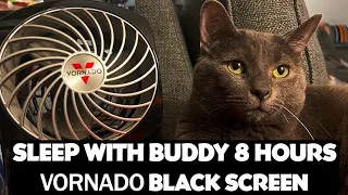 Vornado Flippi V8 Fan Sound with Cat for Relaxation, Studying & Sleeping 8 Hour Black Screen