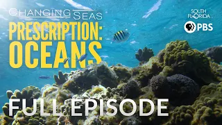 Prescription: Oceans - Full Episode